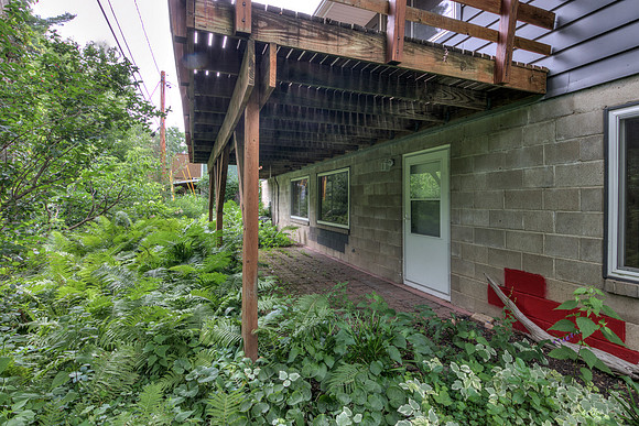 19 - Backyard-1