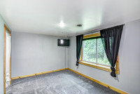 12 - Lower Level Bedroom - 1-1