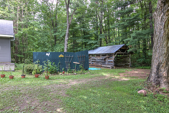 19 - Backyard-07