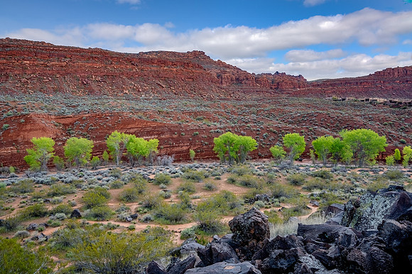 Utah - _TZ65878-Edit-Edit