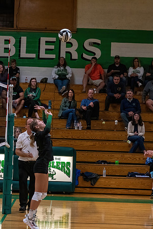TLA_3079-DAI