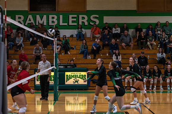 TLA_3112-DAI