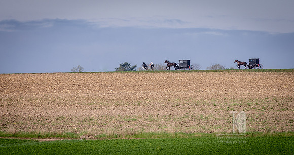 Riding Along - Tim Abraham