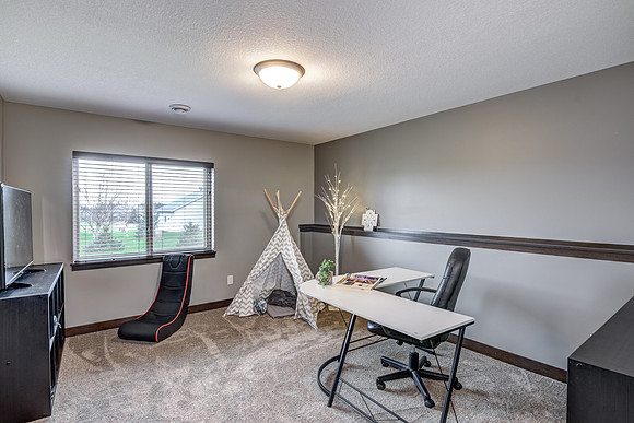 12 - Lower Level Bedroom - 2-1