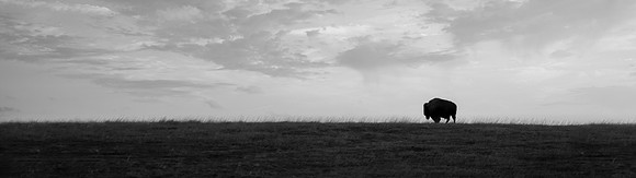 Badlands - TLA_4664-