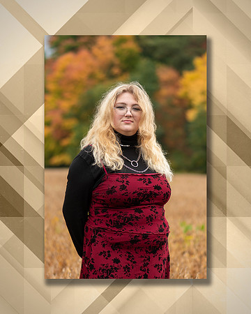 Millennium Portrait - 17 copy