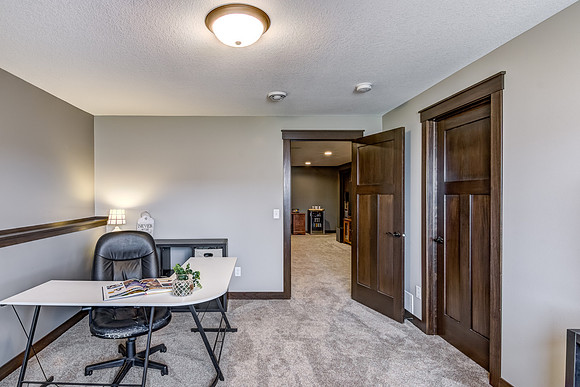 12 - Lower Level Bedroom - 2-4