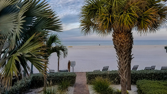 20190119_075941-PS