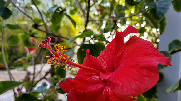 20190119_110048-PS
