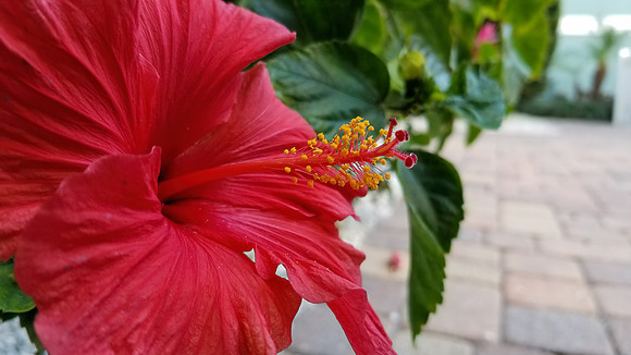 20190119_110136-PS