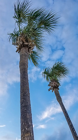 20190119_174705-PS-PS