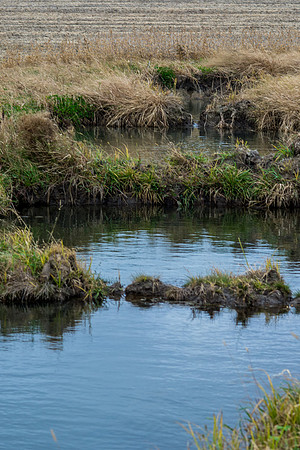 DSC_7715