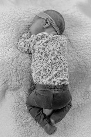 TLA_3825-PS