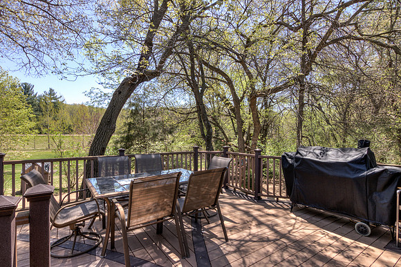 19 - Backyard-5