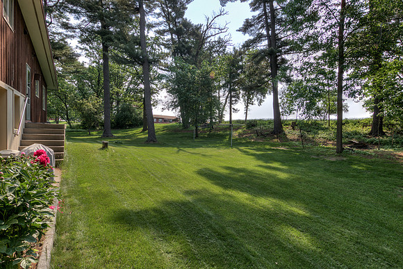 19 - Backyard-4