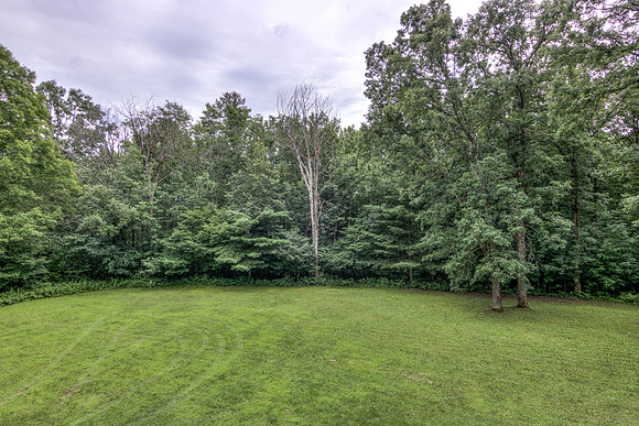 19 - Backyard-2