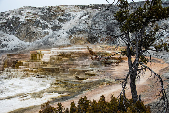 Yellowstone - TLA_2195