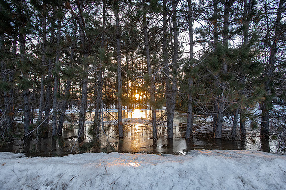 TLA_6181