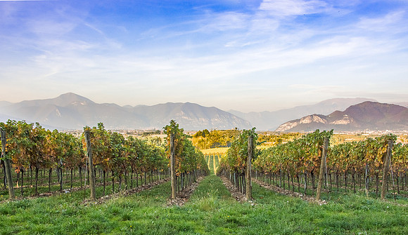 Italy - DSC_9050-HDR