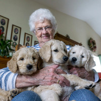 Aud Pups