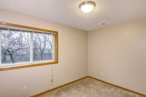 12 - Lower Level Bedroom - 1-1