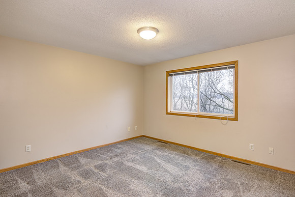 12 - Lower Level Bedroom - 2-1