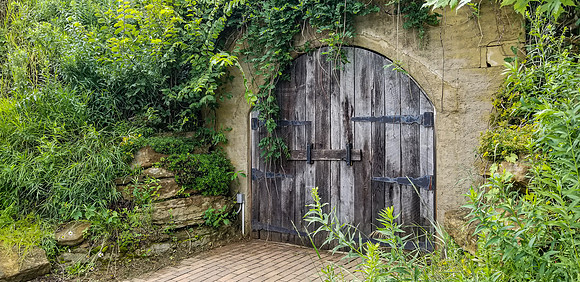 20190720_152142-Edit