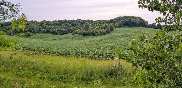 20190720_165008
