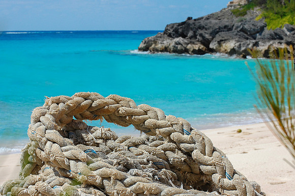 Bermuda - (336b)