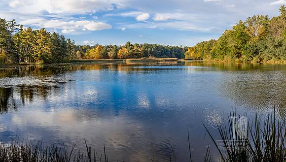 TLA_7241-Pano