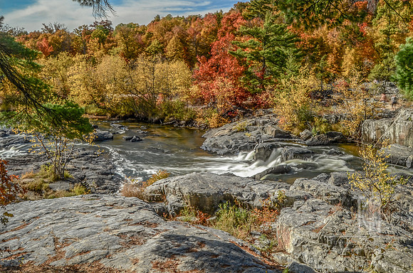 DSC_0458-Edit