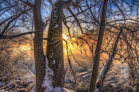 20170109_sunrise trees_