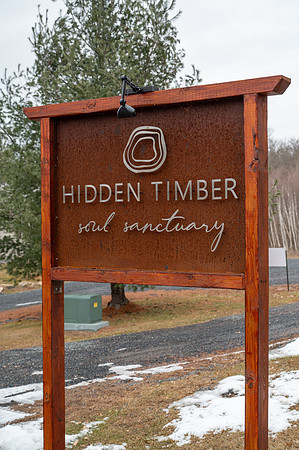 HiddenTimber_TZ60385