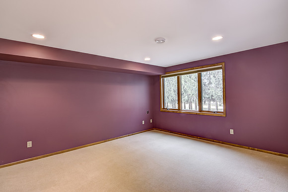 12 - Lower Level Bedroom - 1-1