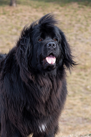 _TZ62089