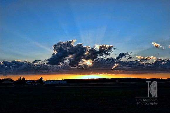 Photo-a-Day. Day 30. And a glorious Easter morning to you all...  (June 2010)