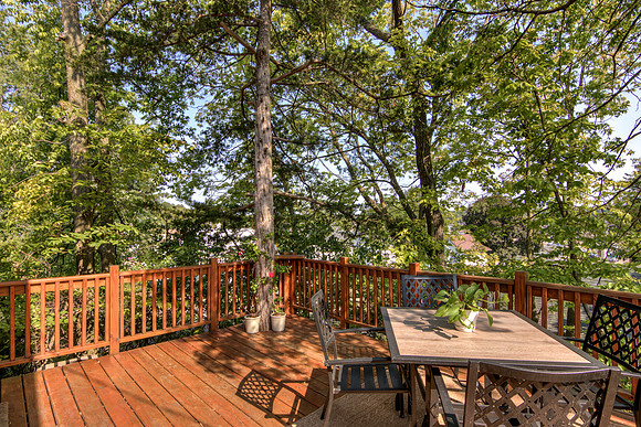 19 - Backyard-3