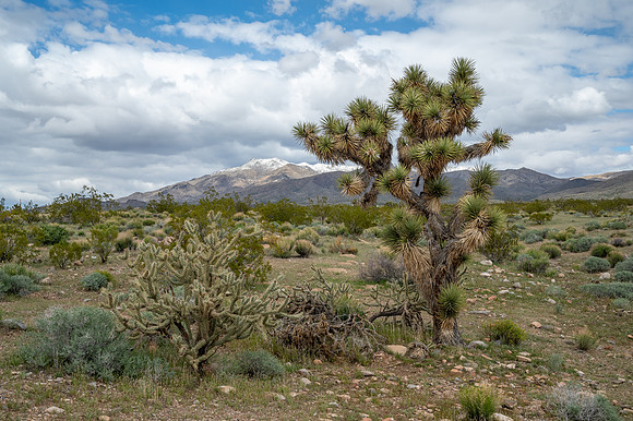 Utah - _TZ66051