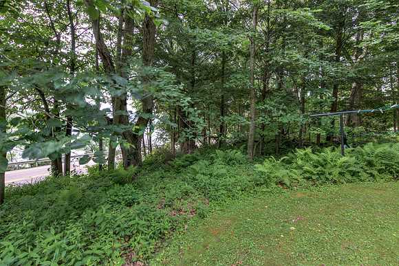 19 - Backyard-11