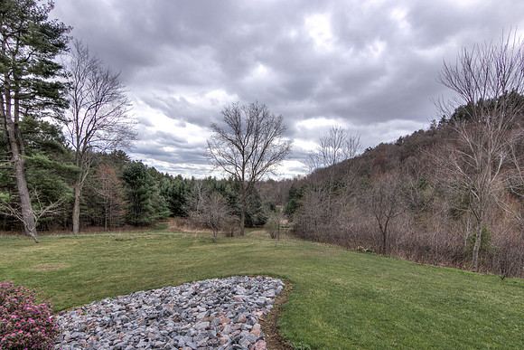 19 - Backyard-3