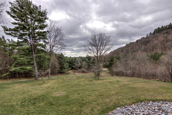 19 - Backyard-6