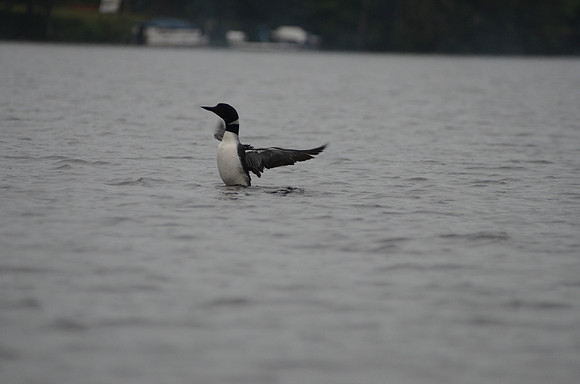 DSC_7900