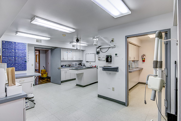 03 - main floor-12