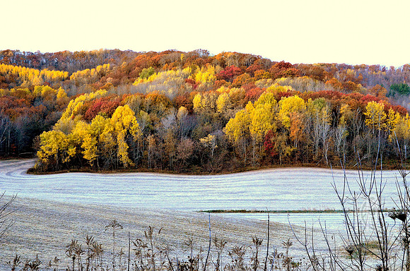 First Snow - Tim Abraham