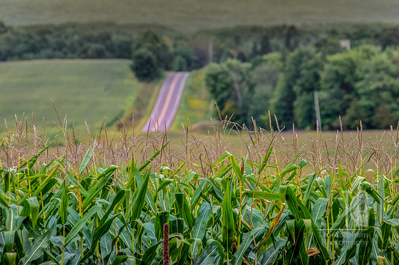 Country Byways - Tim Abraham