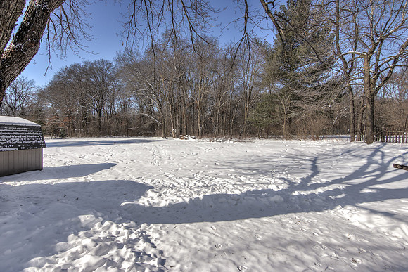 19 - Backyard-01b