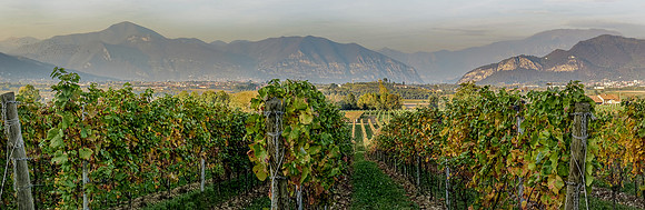 Italy - IMG_2307-Pano-Edit