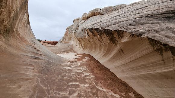 Utah - 20250401_174939