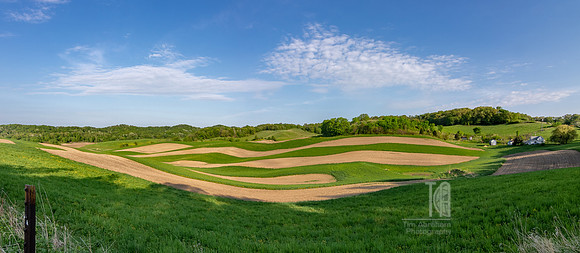 Crop Painting- Tim Abraham