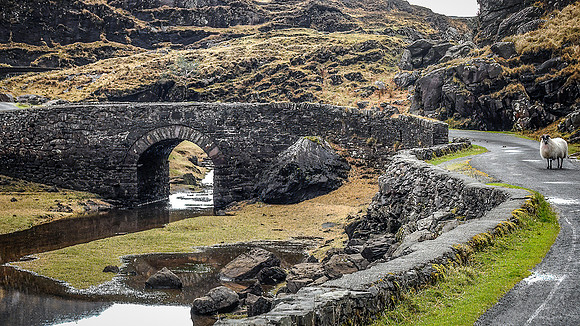 Ireland - DSC_4481-Edit-2